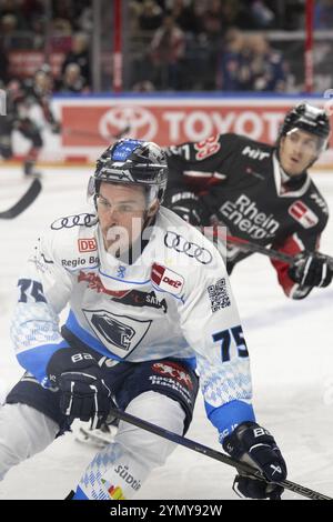 LanxessArena, Renania settentrionale-Vestfalia, Alex Breton (ERC Ingolstadt, #75), PENNY DEL, Koelner Haie-ERC Ingolstadt il 22/11/2024 alla LanxessArena in C Foto Stock