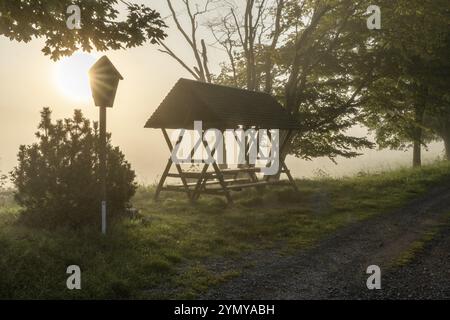 Mattina d'estate piena di nebbia vicino a Pfaffendorf-Svizzera sassone Foto Stock