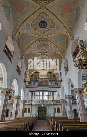 Navata con loft d'organo e pulpito, ex chiesa collegiata di San Pietro, chiesa parrocchiale cattolica romana, lago di Bad Forest, alta Svevia, Baden-Wuerttembe Foto Stock