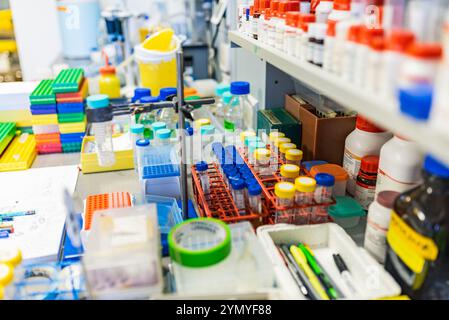 Banco da lavoro da laboratorio ben organizzato con forniture chimiche, provette per campioni e apparecchiature di ricerca essenziali Foto Stock