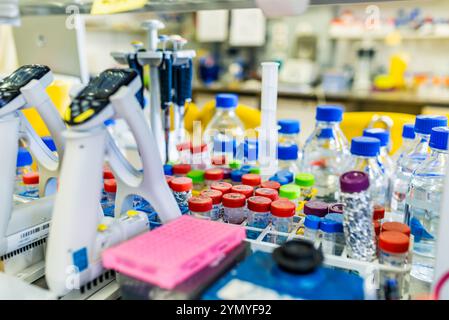 Banco da lavoro da laboratorio ben organizzato con forniture chimiche, provette per campioni e apparecchiature di ricerca essenziali Foto Stock