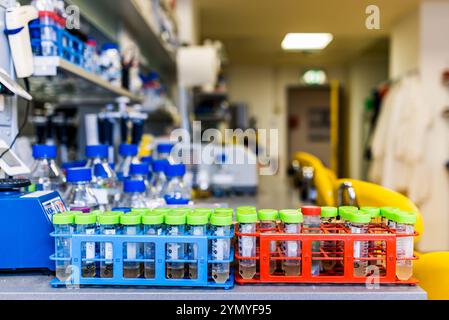 Banco da lavoro da laboratorio ben organizzato con forniture chimiche, provette per campioni e apparecchiature di ricerca essenziali Foto Stock