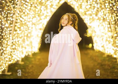 È il periodo più bello dell'anno in cui lo scintillante sentiero serale illumina di nuovo il famoso Palazzo Pillnitz e il parco di Dresda. Ora in ITS Foto Stock