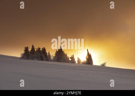 Tramonto sulla montagna più alta del Rhoen, il Wasserkuppe 14 Foto Stock