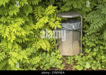 Cestino dei rifiuti nei cespugli di un parco Foto Stock