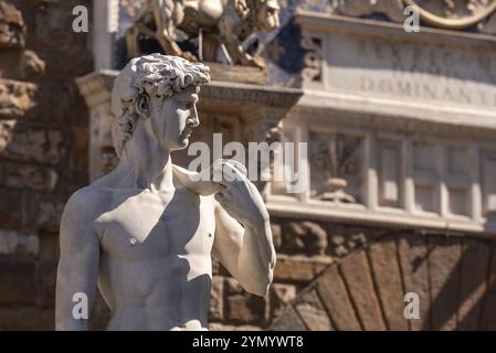 Michelangelos famosa statua del David in Piazza della Signoria a Firenze, Italia, Europa Foto Stock