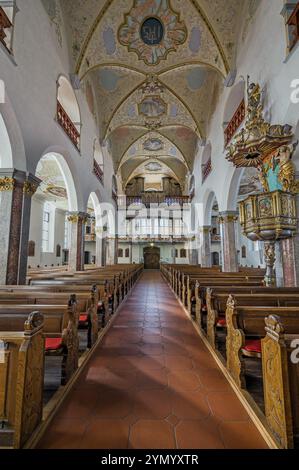 Navata con loft d'organo e pulpito, ex chiesa collegiata di San Pietro, chiesa parrocchiale cattolica romana, lago di Bad Forest, alta Svevia, Baden-Wuerttembe Foto Stock