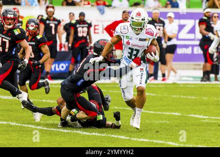 German Football League, partita: Schwaebisch Hall Unicorns, Saarland Hurricanes nell'Optima Sportpark di Schwaebisch Hall Germania, il 08. Giugno. 2024 Foto Stock