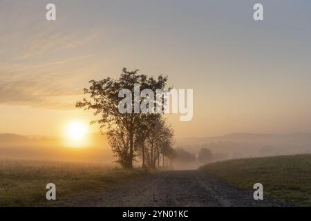 Alba con nebbia nelle montagne di arenaria Elba Foto Stock