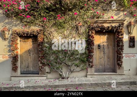 Callejón del Pueblito, San Miguel de Allende, Messico. Foto Stock