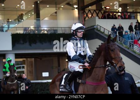 Ascot, Berkshire, Regno Unito. 23 novembre 2024. Il MARTATOR guidato dal fantino Ned Fox si dirige sul circuito prima di vincere il Lay & Wheeler Hurst Park handicap Steeple Chase (Classe 2) (GBB Race) all'ippodromo di Ascot nel Berkshire, al Copybet di sabato novembre. Proprietaria Camilla Norton, Trainer Ventia Williams, Hereford, allevatore Mr H Des Set Gauburge, Sponsor Faucets Limited. Crediti: Maureen McLean/Alamy Live News Foto Stock