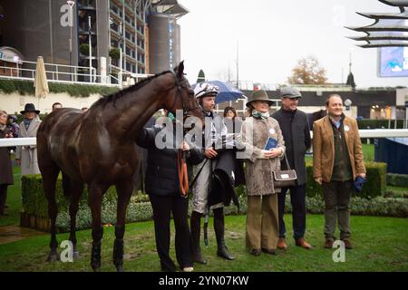 Ascot, Berkshire, Regno Unito. 23 novembre 2024. MARTATOR guidato dal fantino Ned Fox vince il Lay & Wheeler Hurst Park handicap Steeple Chase (Classe 2) (GBB Race) all'ippodromo di Ascot nel Berkshire al Copybet di novembre. Proprietaria Camilla Norton, Trainer Ventia Williams, Hereford, allevatore Mr H Des Set Gauburge, Sponsor Faucets Limited. Crediti: Maureen McLean/Alamy Live News Foto Stock