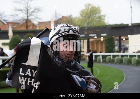 Ascot, Berkshire, Regno Unito. 23 novembre 2024. Jockey Ned Fox dopo aver guidato MARTATOR per vincere il Lay & Wheeler Hurst Park handicap Steeple Chase (Classe 2) (GBB Race) all'ippodromo di Ascot nel Berkshire al Copybet di novembre, sabato Raceday. Proprietaria Camilla Norton, Trainer Ventia Williams, Hereford, allevatore Mr H Des Set Gauburge, Sponsor Faucets Limited. Crediti: Maureen McLean/Alamy Live News Foto Stock