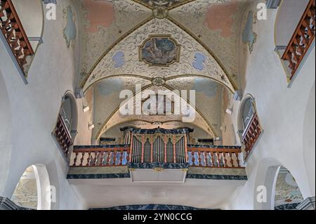 Loft d'organo, ex chiesa collegiata di San Pietro, chiesa cattolica romana, lago di Bad Forest, alta Svevia, Baden-Wuerttemberg, Germania, Europa Foto Stock