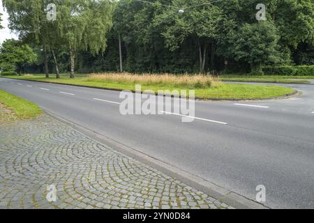 Strada asfaltata vuota con pavimentazione e erba Foto Stock