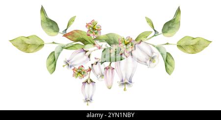 Fiore di campana e bocciolo bianco di mirtillo con foglie verdi sui rami, disegnato a mano in acquerello, illustrazione botanica di fiori selvatici. garland isolato Foto Stock