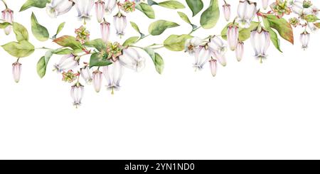 Fiore di campana rosa e mirtillo con foglie verdi sui rami, disegnato a mano in acquerello, illustrazione botanica di fiori selvatici. Isolamento senza soluzione di continuità Foto Stock