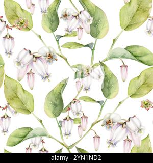 Fiore di campana rosa e mirtillo con foglie verdi sui rami, disegnato a mano in acquerello, illustrazione botanica di fiori selvatici. Isolamento senza soluzione di continuità Foto Stock