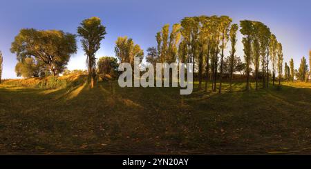 Visualizzazione panoramica a 360 gradi di Panorama completo sferico a 360 gradi della serata autunnale in un alto boschetto di alberi