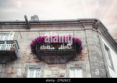 Un affascinante edificio in pietra con un piccolo balcone coperto da vibranti fiori magenta. La facciata presenta eleganti dettagli architettonici e una luce al tramonto Foto Stock