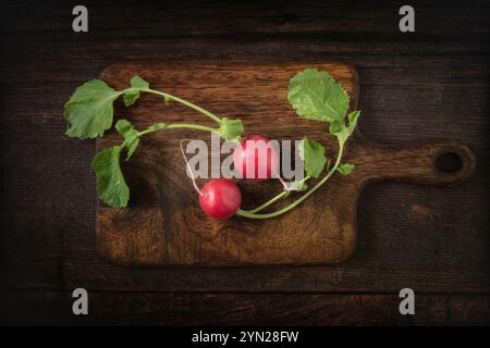 Due ravanelli rossi freschi su tagliere di legno Foto Stock