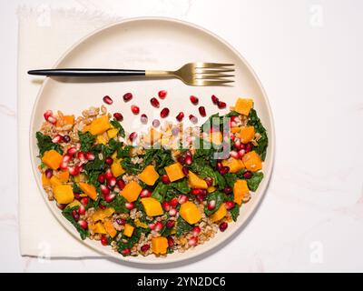 Sana insalata autunnale a base di farro, cavolo, zucca di butternut e semi di melograno Foto Stock