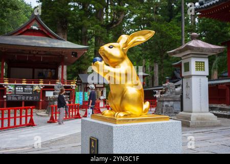 Nikko, Giappone, 16 giugno 2024: Il Santuario Nikko Toshogu, è famoso per le sue decorazioni sontuose e i dettagli ornamentali. Il santuario di 400 anni fa ospita il Rem Foto Stock