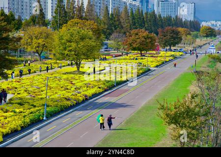 Ulsan, Corea del Sud - 14 novembre 2024: File di giardini di crisantemo in piena fioritura esaltano la bellezza del Parco del fiume Taehwa, con i visitatori che lo apprezzano Foto Stock