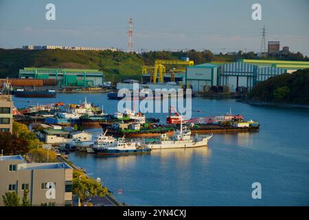 Ulsan, Corea del Sud - 14 novembre 2024: Navi ormeggiate al porto di Jangsaengpo vicino a stabilimenti industriali e officine, con gru e magazzini in formazione Foto Stock