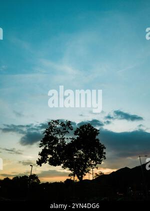 "Albero sagomato contro il vibrante cielo serale con sottili accenni di tramonto e illuminazione urbana" Foto Stock