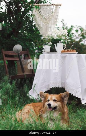 giardino e tea party in stile country. still life - tazze, piatti, torta e vaso con anemoni Foto Stock