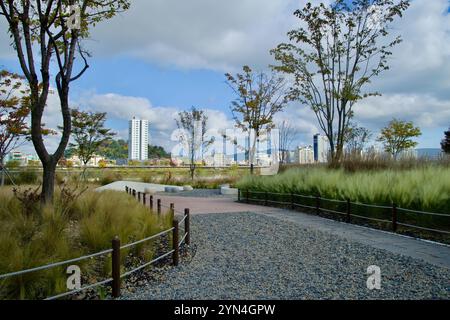 Ulsan, Corea del Sud - 14 novembre 2024: Un tranquillo sentiero di ghiaia che si snoda tra erbe ornamentali e alberi autunnali al Taehwa River Garden, con il Foto Stock