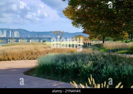 Ulsan, Corea del Sud - 14 novembre 2024: Una vista serena del Ponte di Hakseong incorniciata da foglie autunnali e erbe ornamentali al Parco del fiume Taehwa, W Foto Stock