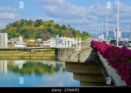 Ulsan, Corea del Sud - 14 novembre 2024: Una vista panoramica del Ponte di Hakseong adornato da vibranti fiori magenta, con le sue piattaforme di osservazione e H Foto Stock