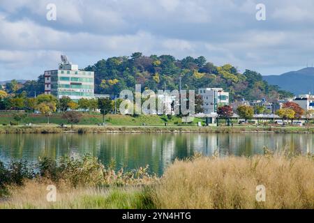 Ulsan, Corea del Sud - 14 novembre 2024: Una vista panoramica del Parco di Hakseong con lussureggiante fogliame autunnale, come si vede attraverso il fiume Taehwa, con riflessi Foto Stock