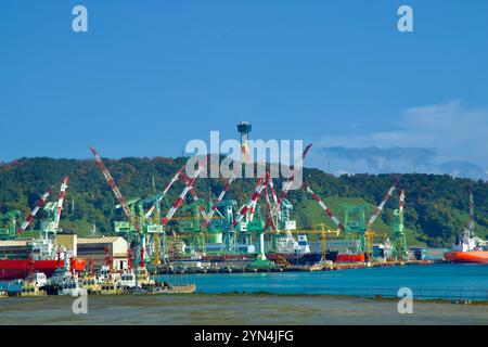 Ulsan, Corea del Sud - 14 novembre 2024: Una vista panoramica del cantiere navale Hyundai Heavy Industries con torreggianti gru e navi attraccate, con la U Foto Stock