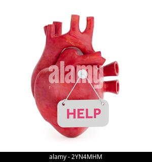 Human Heart Anatomy Internal Organ with Help Sign on on a white background. Rendering 3d. Foto Stock