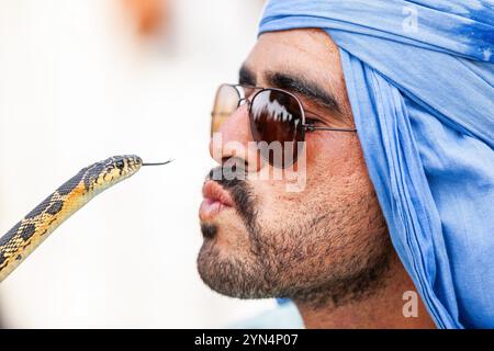 Un incantatore di serpenti in un turbante blu finge di amare i suoi rettili Foto Stock