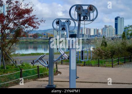 Ulsan, Corea del Sud - 14 novembre 2024: Attrezzature pubbliche per esercizi sullo sfondo sereno del fiume Taehwa, con condominio urbano Foto Stock