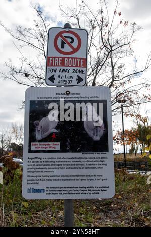 Fire Route e smetti di dare da mangiare ai cartelli della fauna selvatica al Bluffer's Park di Scarborough, Toronto, Ontario, Canada Foto Stock