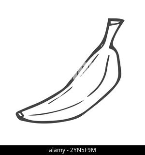 Icona a banana nelle linee di schizzo a scarabocchio Illustrazione Vettoriale