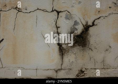 Il muro mostra ampie crepe e vernice staccabile, suggerendo l'età e l'abbandono in un edificio intempestivo. Le variazioni di texture e colore sottolineano d Foto Stock