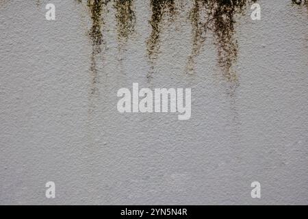 Il muro mostra ampie crepe e vernice staccabile, suggerendo l'età e l'abbandono in un edificio intempestivo. Le variazioni di texture e colore sottolineano d Foto Stock