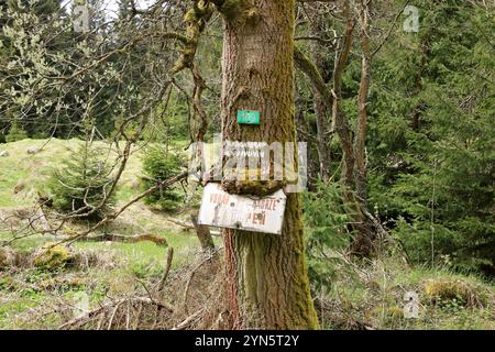 un albero con scudo sovrastato nella repubblica ceca Foto Stock