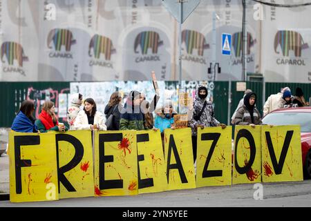 Kiev, Kiev, Ucraina. 24 novembre 2024. Protesta Azovstal libera di familiari e amici di soldati tenuti in prigionia dalla Russia. I soldati si arresero alla Russia il 20 maggio 2022 per salvare vite umane presso le opere di ferro e furto di Mariupol. Alcuni sono stati rilasciati, molti sono ancora detenuti in prigionia russa. (Credit Image: © Andreas Stroh/ZUMA Press Wire) SOLO PER USO EDITORIALE! Non per USO commerciale! Crediti: ZUMA Press, Inc./Alamy Live News Foto Stock