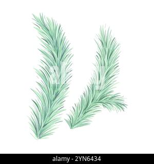 Set di acquerelli di ramo di abete rosso natalizio. Albero Evergreen, abete, cedro. Piante verdi invernali, decorazioni natalizie Foto Stock