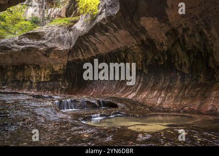 Magnifica gola della metropolitana nel Parco Nazionale di Zion nello Utah, Stati Uniti, Nord America Foto Stock