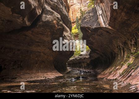 Magnifica gola della metropolitana nel Parco Nazionale di Zion nello Utah, Stati Uniti, Nord America Foto Stock