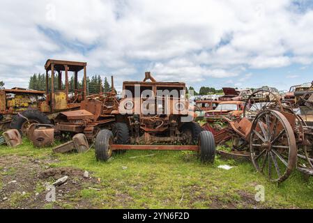 Auto d'epoca su un grande scrapyard alla fine del percorso Old Coach Road, Isola del Nord della Nuova Zelanda Foto Stock