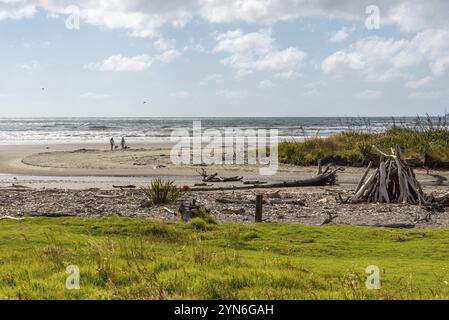 Bellissima costa al Queen Elisabeth Park, Isola del Nord della Nuova Zelanda Foto Stock